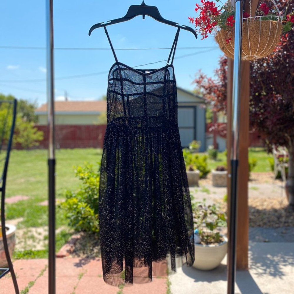 Sheer Sparkly Dress